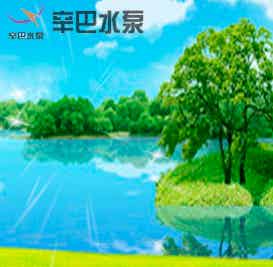 辛巴水泵