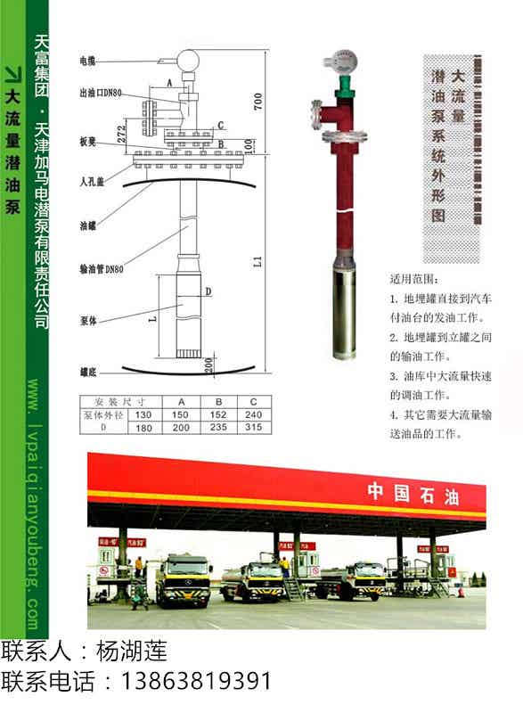 綠牌化工潛液泵