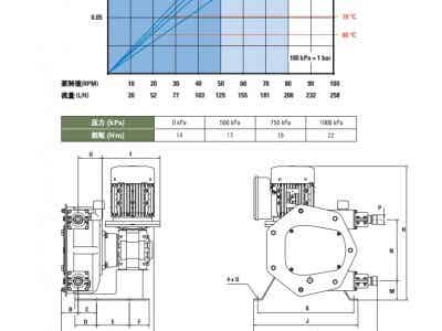 西班牙Peribest軟管泵(化工）-C12圖3