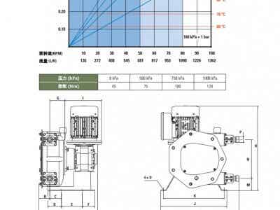 西班牙Peribest軟管泵(化工）-C21圖3