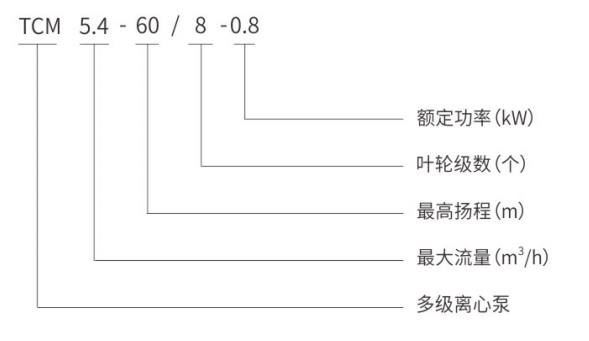泰福泵業(yè)TCM多級離心泵型號說明